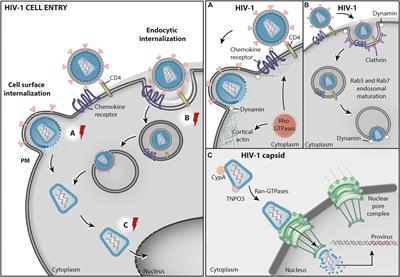 HIV-1 Hijacking of Host ATPases and GTPases That Control Protein Trafficking